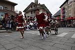 Gara delle Bighe 2011-7783